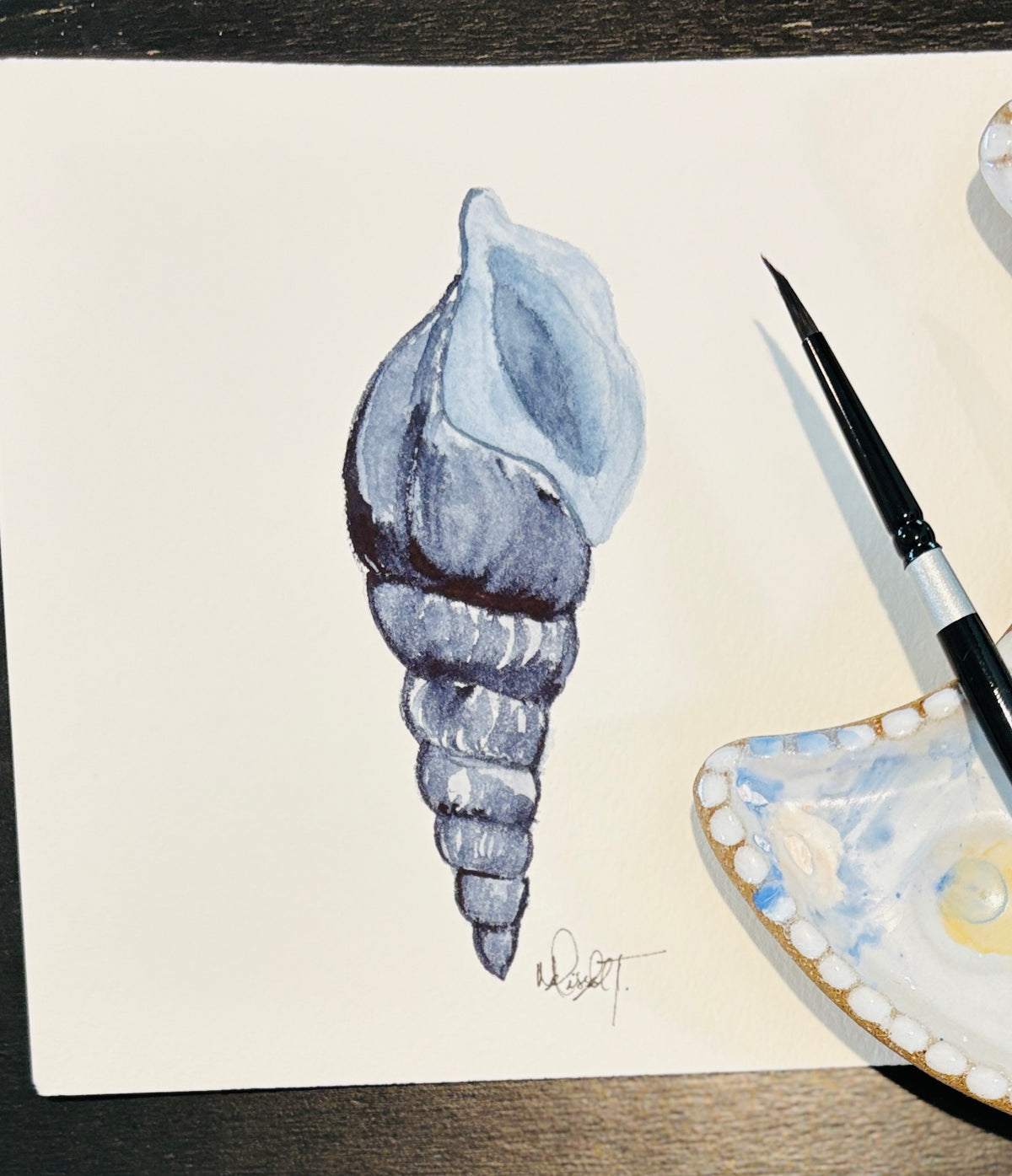 Set of 4 Original Watercolor Shell Paintings | Coastal Wall Art | 8x8 Nautical Beach Decor | Ocean-Inspired Shell Series