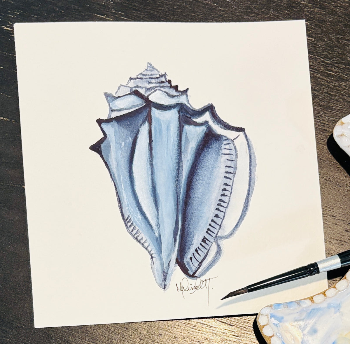Set of 4 Original Watercolor Shell Paintings | Coastal Wall Art | 8x8 Nautical Beach Decor | Ocean-Inspired Shell Series