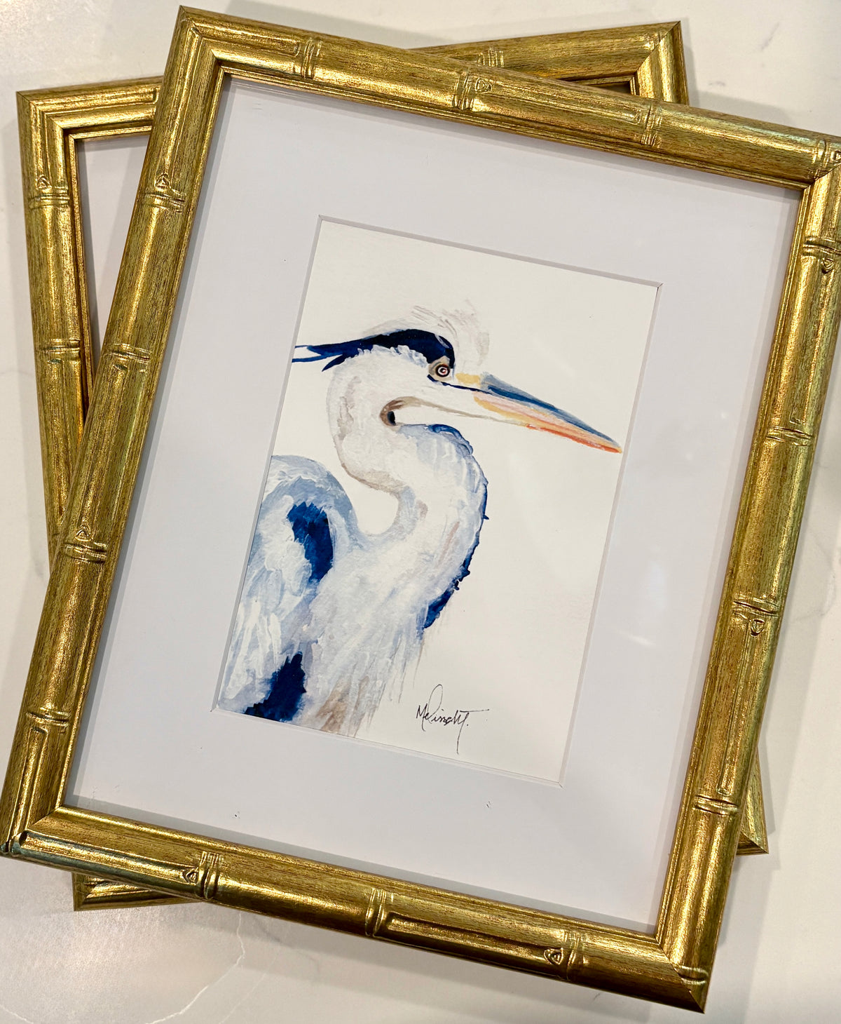 Framed Watercolor Bird Prints – Set of 2 Coastal Birds (5x7 Prints in 8x10 Bamboo Frames)