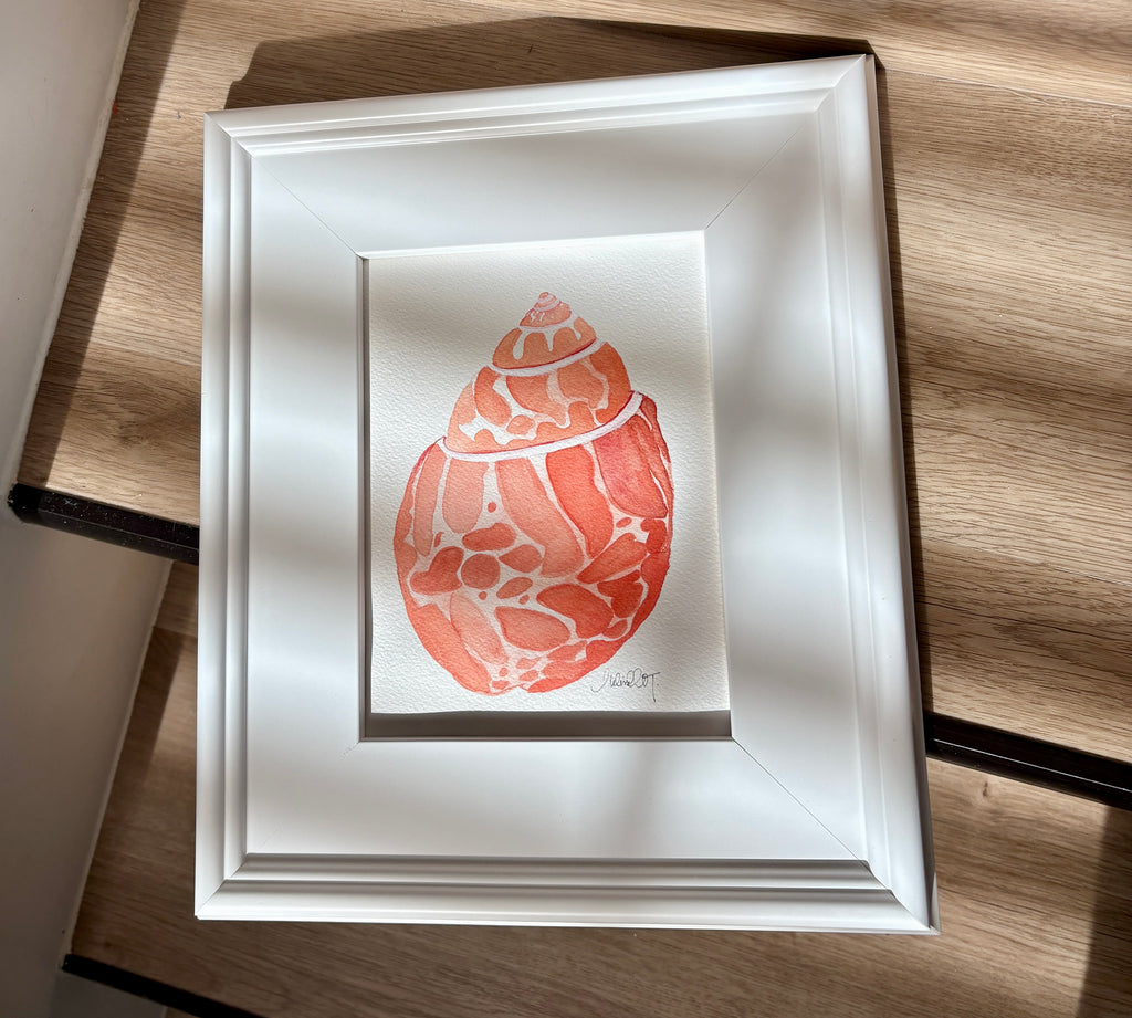 Original Watercolor Seashells, Framed 8x10