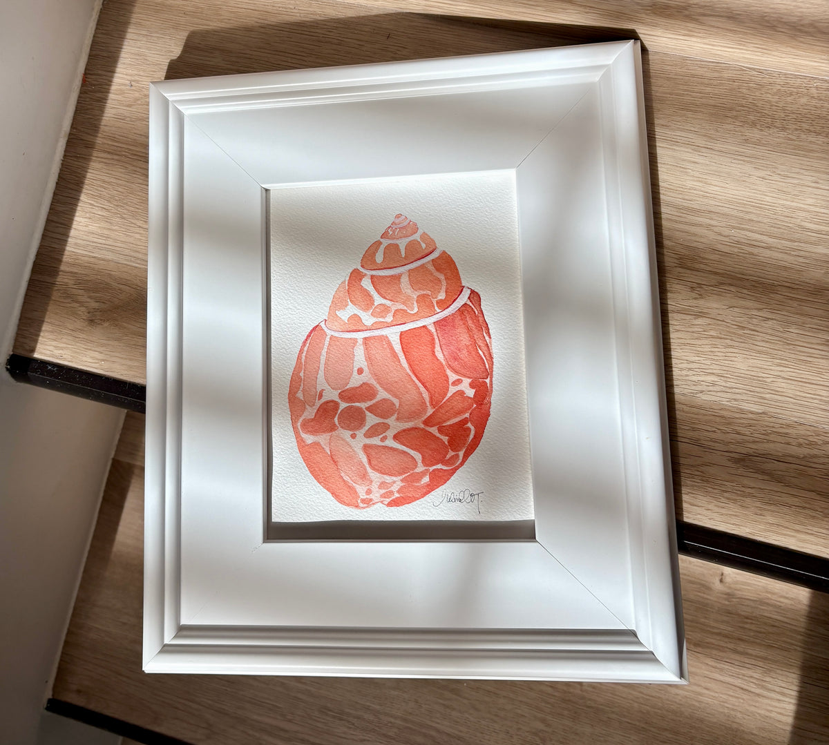 Original Watercolor Seashells, Framed 8x10