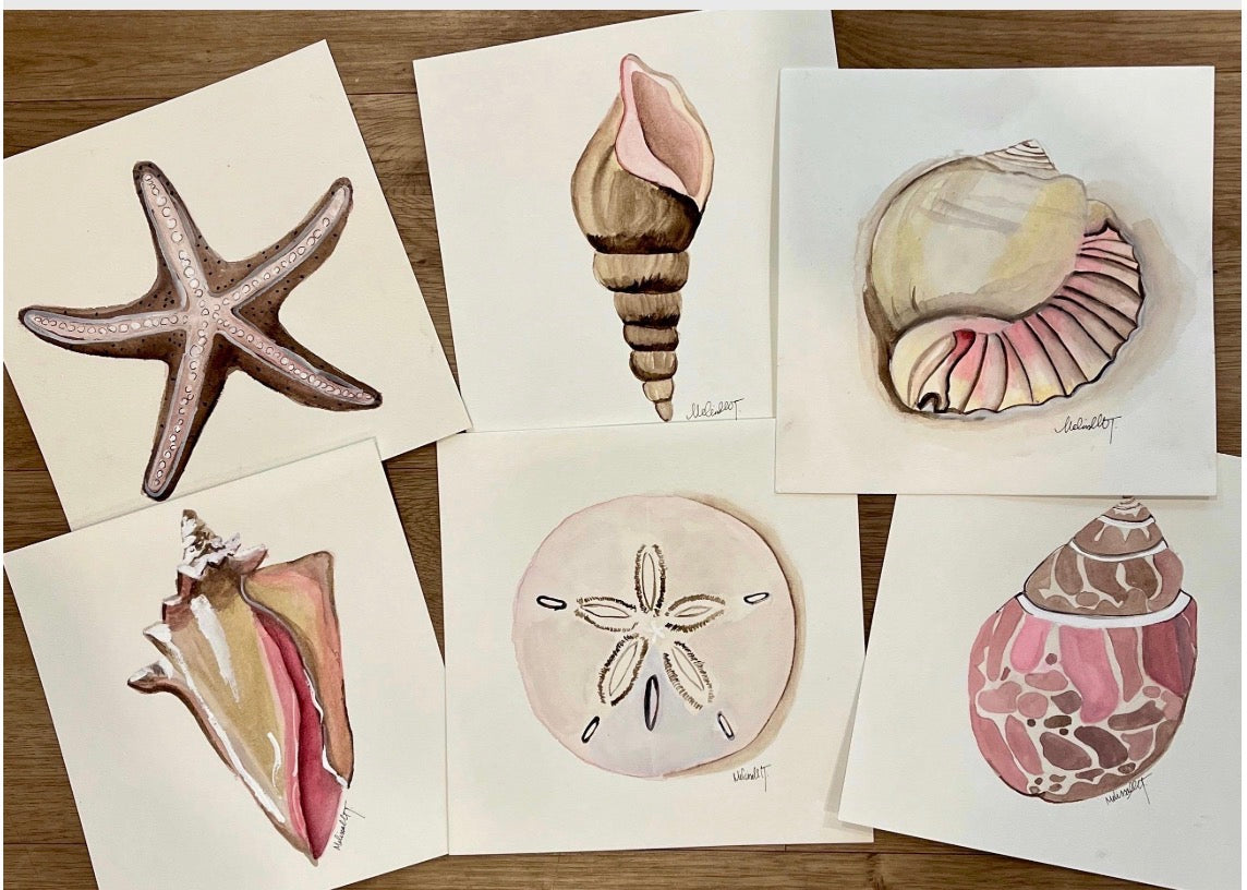 Coastal Shell Watercolor Set of 6 | Original 10x10 Art | Neutral Beach Wall Collection