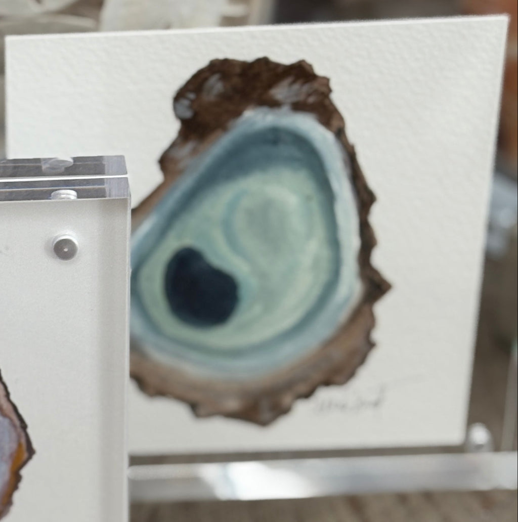 5x5 Original Oyster in Acrylic Block Frame