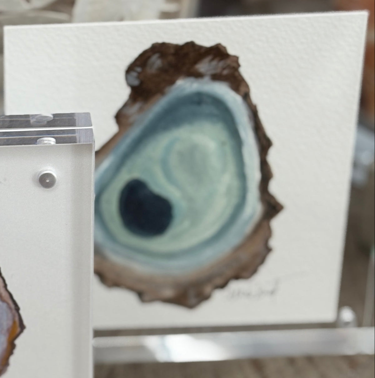 5x5 Original Oyster in Acrylic Block Frame